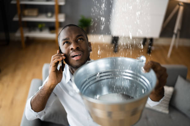 Best Flood damage cleanup  in Spring City, PA