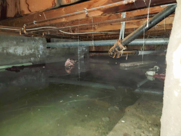 Best Water damage contractors near me  in Spring City, PA