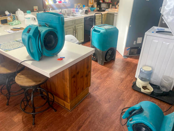 Best Basement water damage restoration  in Spring City, PA