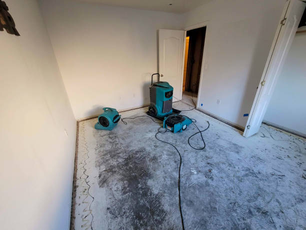 Best Water damage repair service  in Spring City, PA