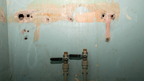 Best Water damage restoration company  in Spring City, PA